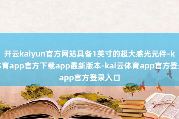 开云kaiyun官方网站具备1英寸的超大感光元件-kai云体育app官方下载app最新版本-kai云体育app官方登录入口