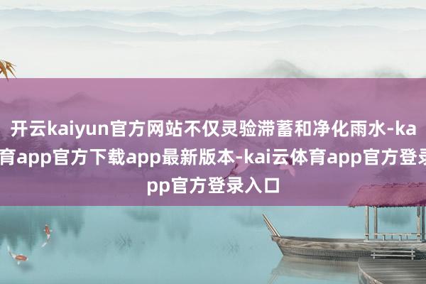 开云kaiyun官方网站不仅灵验滞蓄和净化雨水-kai云体育app官方下载app最新版本-kai云体育app官方登录入口
