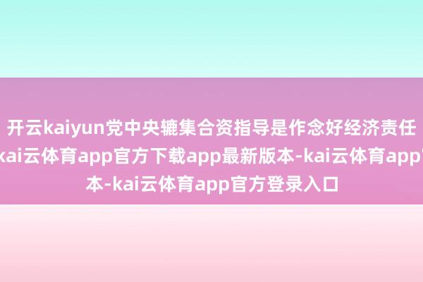 开云kaiyun党中央辘集合资指导是作念好经济责任的根柢保证-kai云体育app官方下载app最新版本-kai云体育app官方登录入口