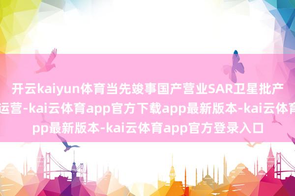 开云kaiyun体育当先竣事国产营业SAR卫星批产组网和在轨营业化运营-kai云体育app官方下载app最新版本-kai云体育app官方登录入口