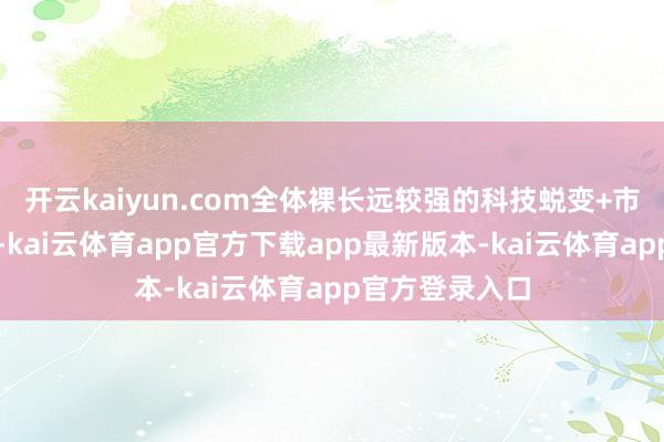 开云kaiyun.com全体裸长远较强的科技蜕变+市值下千里特征-kai云体育app官方下载app最新版本-kai云体育app官方登录入口