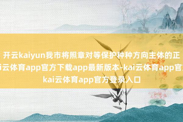 开云kaiyun我市将照章对等保护种种方向主体的正当权柄-kai云体育app官方下载app最新版本-kai云体育app官方登录入口