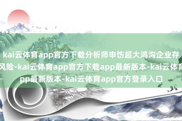 kai云体育app官方下载分析师申饬超大鸿沟企业存在估值和成本支拨风险-kai云体育app官方下载app最新版本-kai云体育app官方登录入口